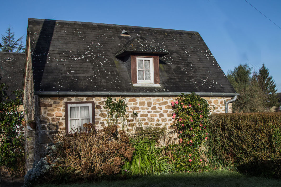 Ferienhaus mit Hund chienNormandie Urlaub mit Hund in der Normandie