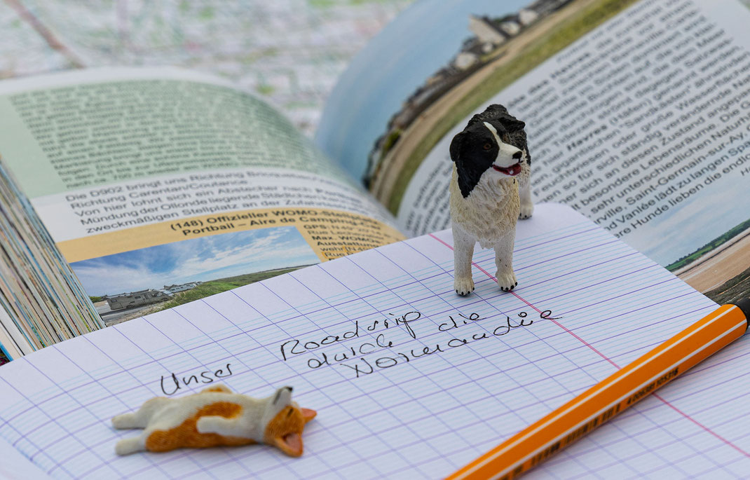 Notizen zu einem Roadtrip in der Normandie, zusammen mit zwei Hunden und dem Buch Entdeckertouren mit dem Wohnmobil Normandie. 