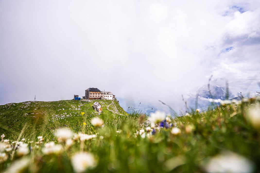Das Watzmannhaus umgeben von blühenden Wiesen und wolkenverhangenen Bergen.