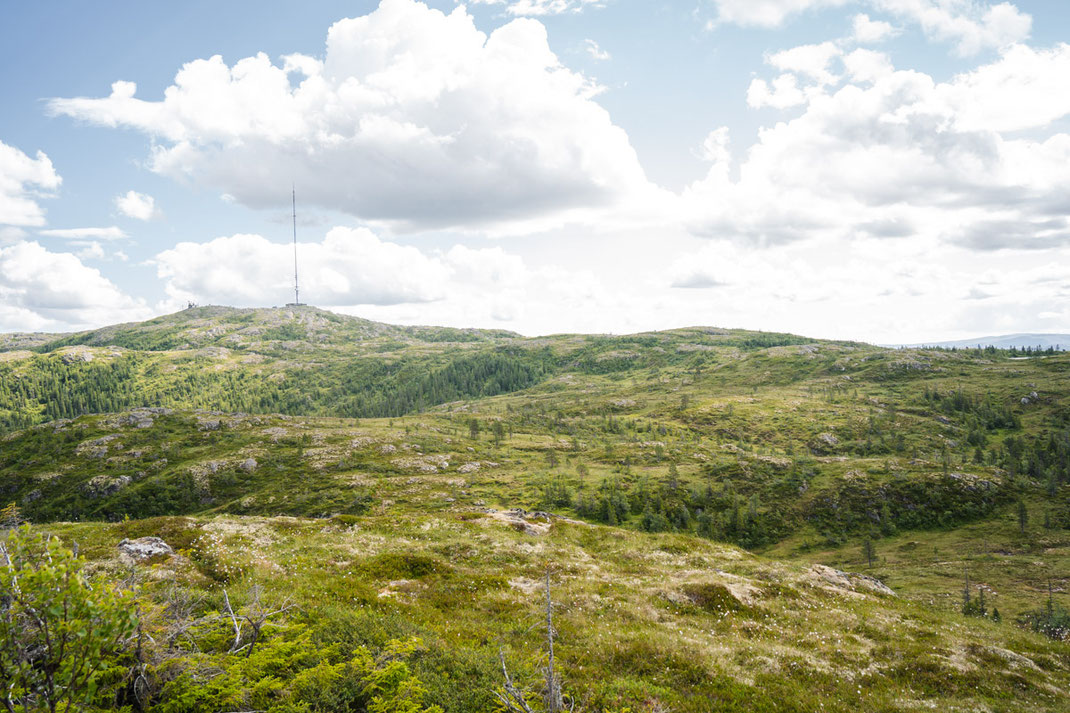 Der Gipfel Vassfjellet ist eingebettet in eine beeindruckende Natur.