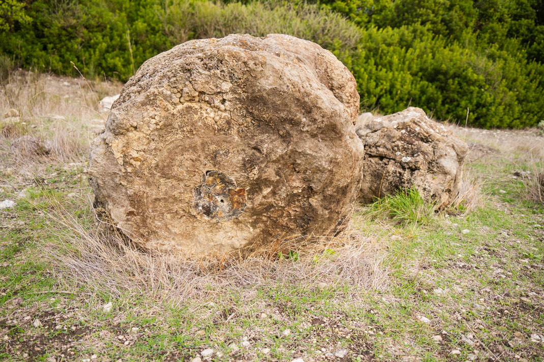 Nahaufnahme eines versteinerten Baumes auf der Insel Sardinien.