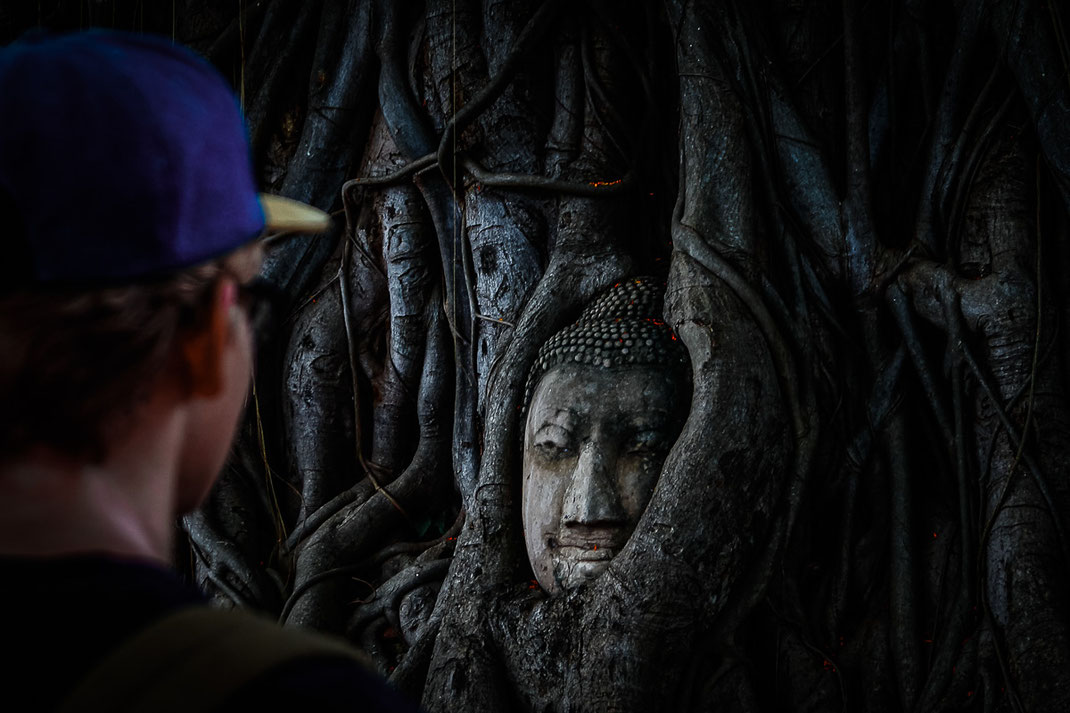 アユタヤで生え際の仏像の頭を鑑賞する男性。