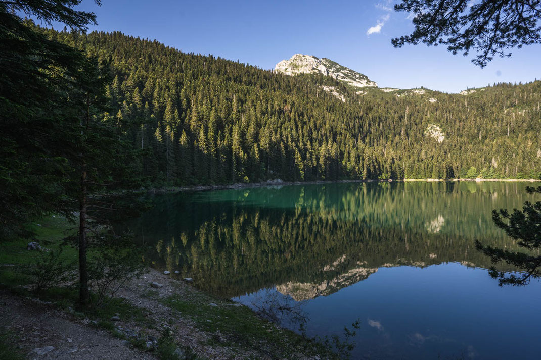 Spiegelung des bewaldeten Hangs und des schroffen Berges im spiegelglatten Schwarzen Sees des Durmitor Nationalparks.