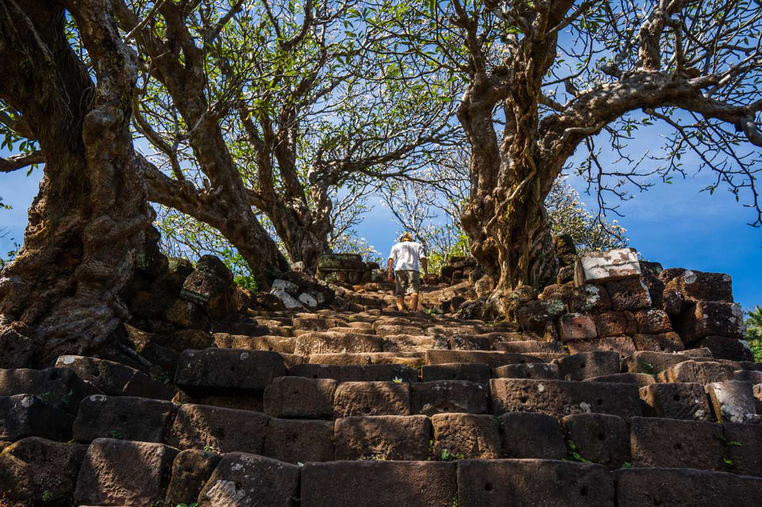 一名男子爬上通往 Vat Phou 的陡峭台阶。