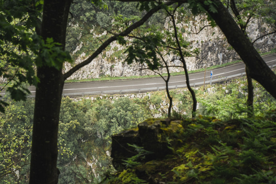 Ausblick auf die Straße in Richtung Bulnes im Nationalpark Picos de Europa.