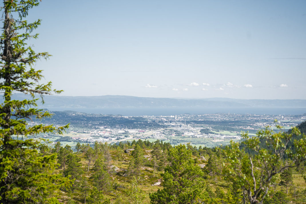 Die Stadt Trondheim ist vom Berg Vassfjellet deutlich zu sehen.