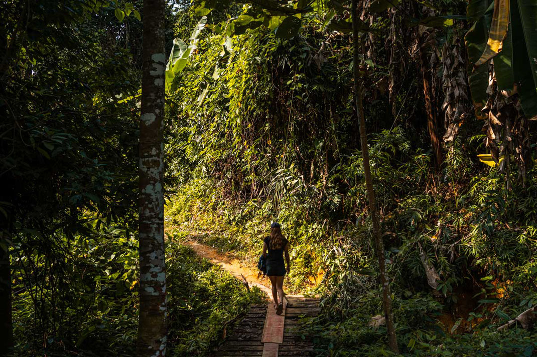 Una mujer camina por un estrecho sendero hacia la cascada de Kane Nyui.
