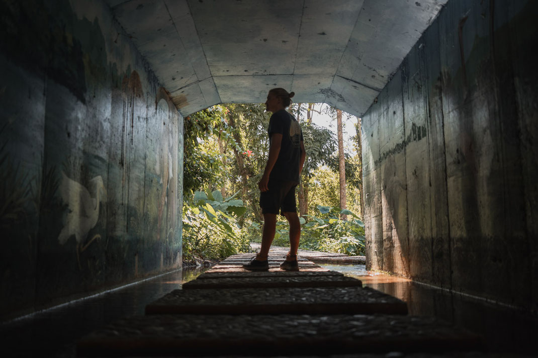 A man stands in a dark underpass leading to the flower garden in Green Jungle Park.