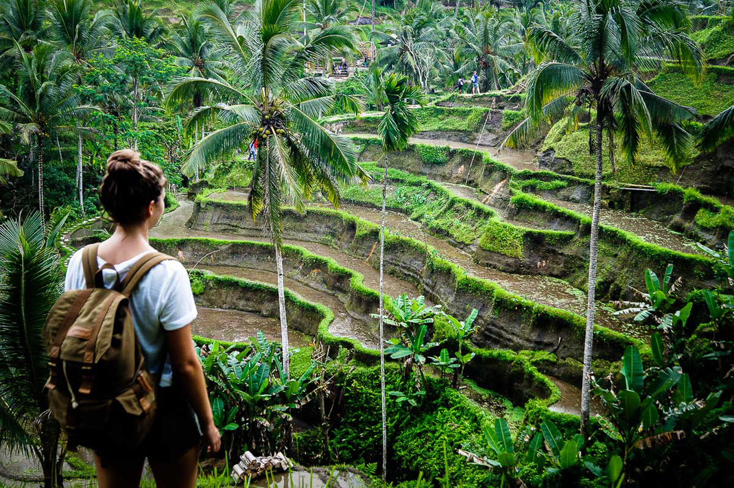 Woman admires green rice terraces of Tegalalang.