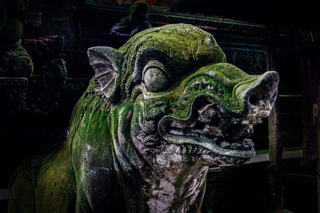 Moosbewachsene Steinskulptur in Form eines Schweins in Ubud