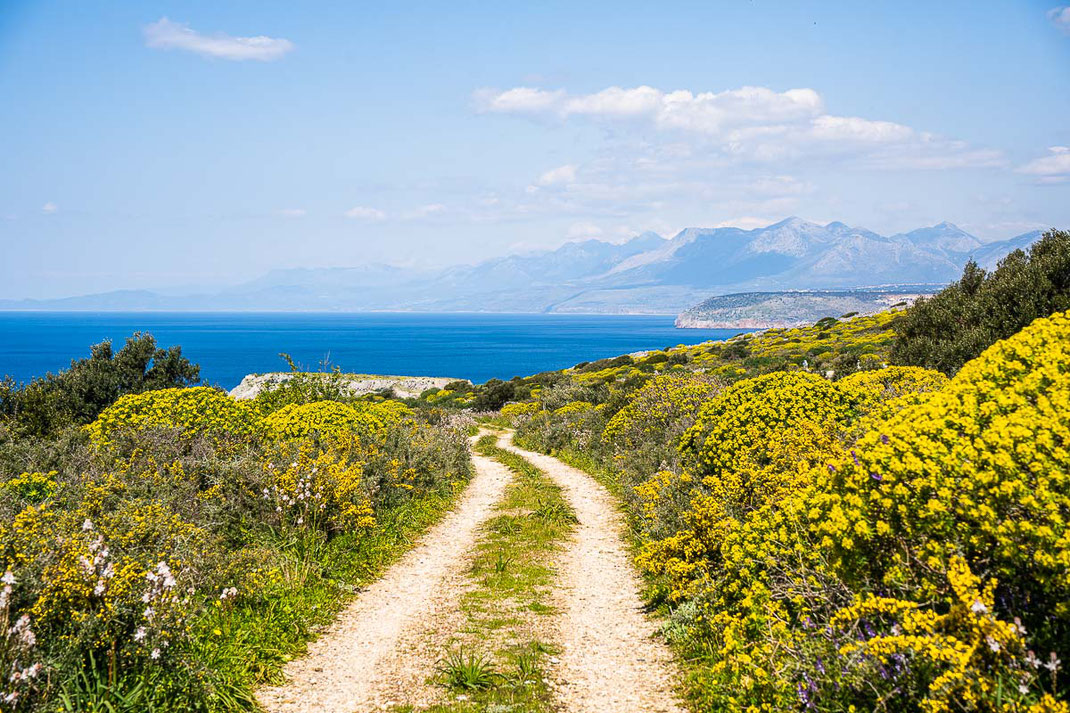 Wanderweg zur Halbinsel Tigani durch blühende Sträucher mit Ausblick auf das Meer und bergiges Festland.