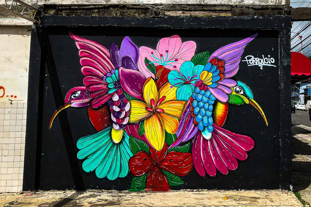 Colorful graffiti in Bajo Boquete showing birds and flowers.