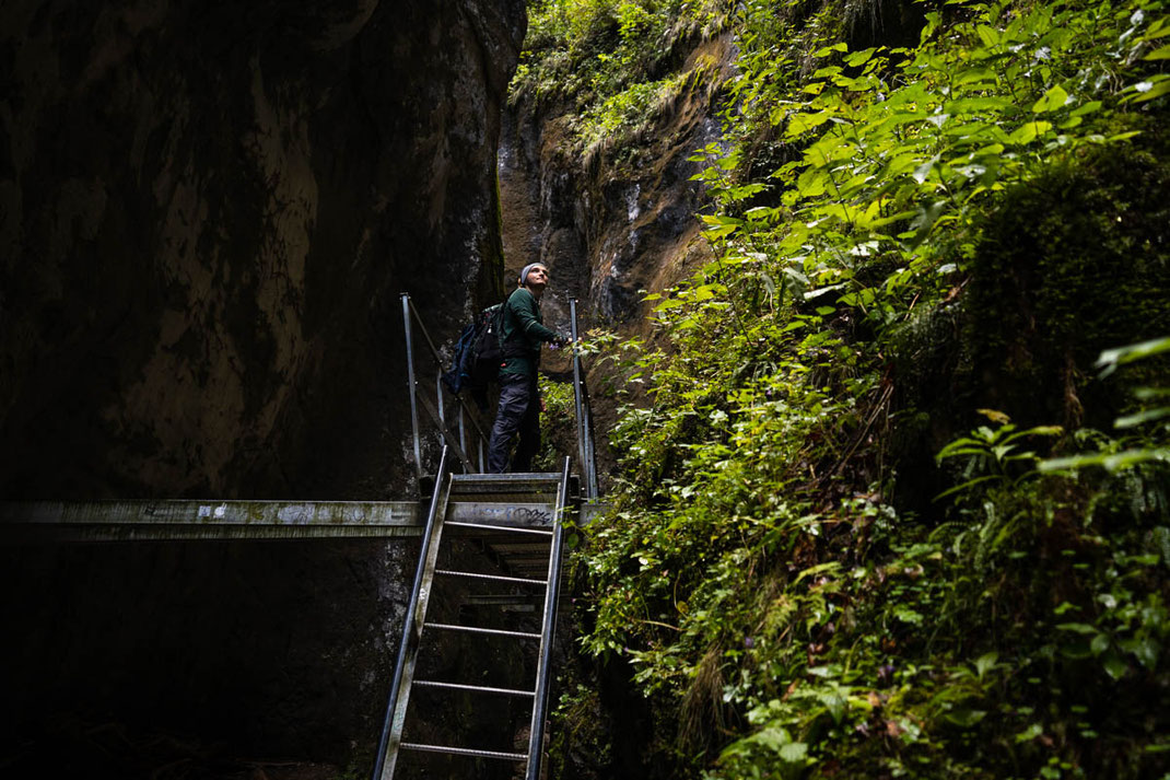 Mann steht auf einem Gitterroststeg im grünen aber dunklen 7-Leitern-Cayon und blickt nach oben in das Licht.