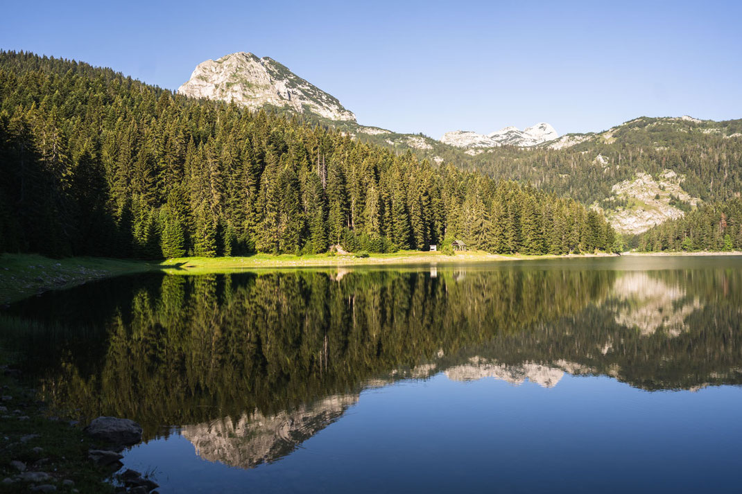 Spiegelung von bewaldeten Hang und schroffen Berg im Schwarzen See des Durmitor Nationalparks.