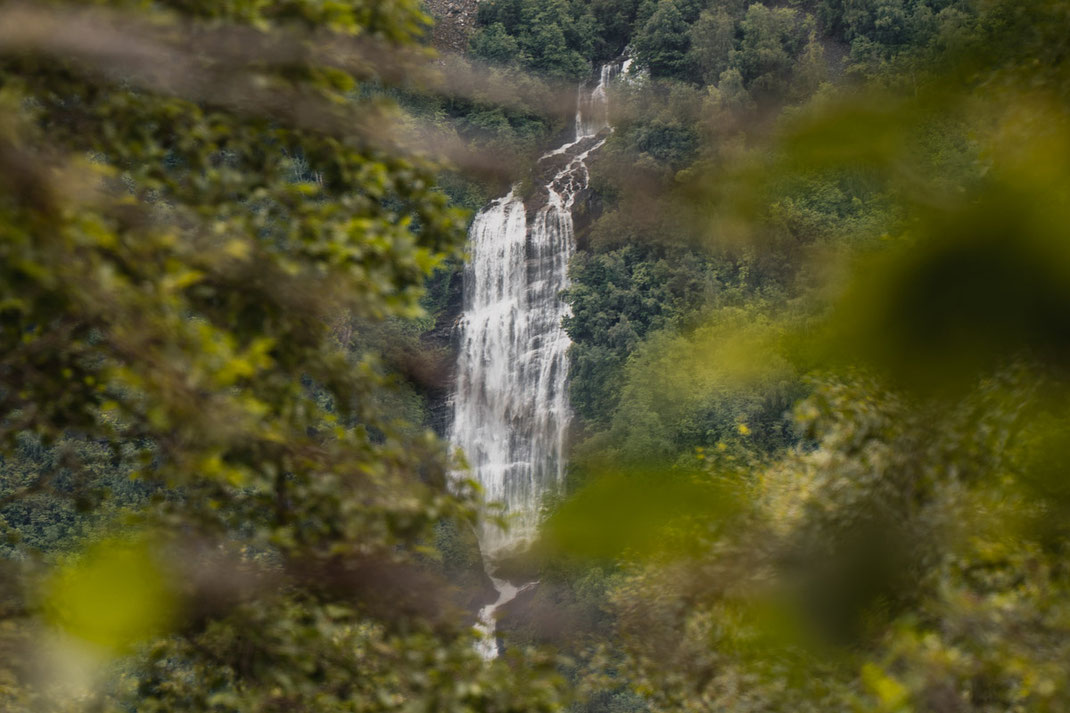 Ein imposanter Wasserfall ist zwischen Blättern und Bäumen in der Ferne zu sehen.