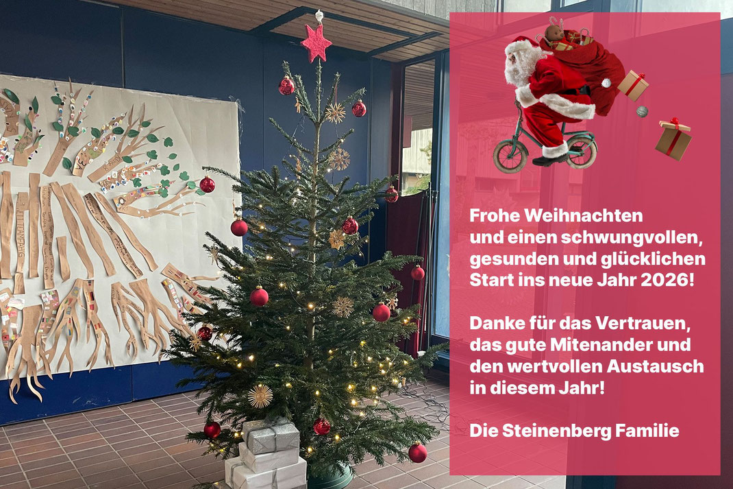 Weihnachtsgruß Steinenbergschule 2025