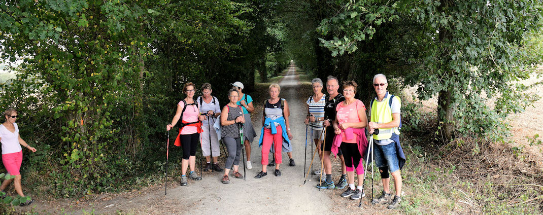 En après-midi, sur la Voie Verte (ancienne voie ferrée de Vitré à La Guerche) le groupe de marche tonique sous la conduite du coach Dominique 