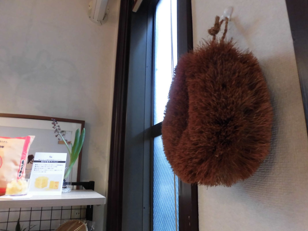 でかいのあったー