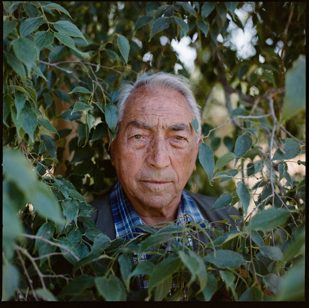 Papà