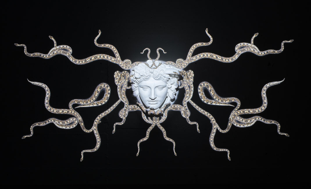 medusa-rondanini-head-of-medusa-marble-relief-video-greek-mythology-and-contemporary-art