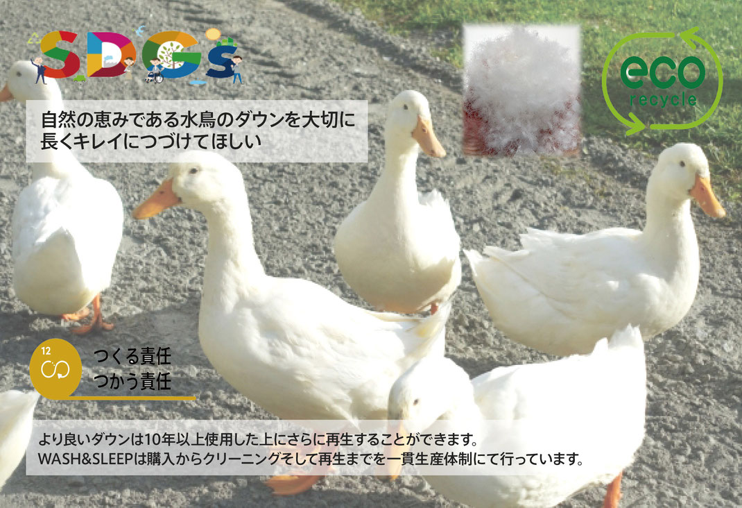 WASH&SLEEP SDGs 購入、クリーニング、再生を一貫生産体制。
