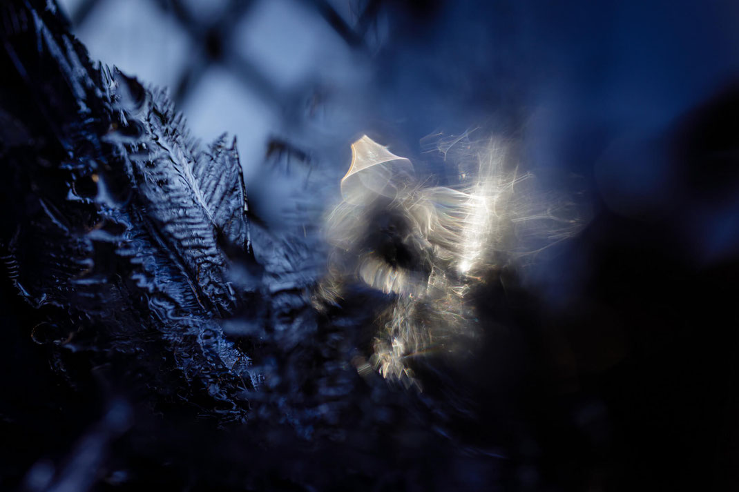 Expressive Fotografie: Essenz aus einem Flowprozess vor meiner Haustür. Dirk Godlinski Digitalografie.