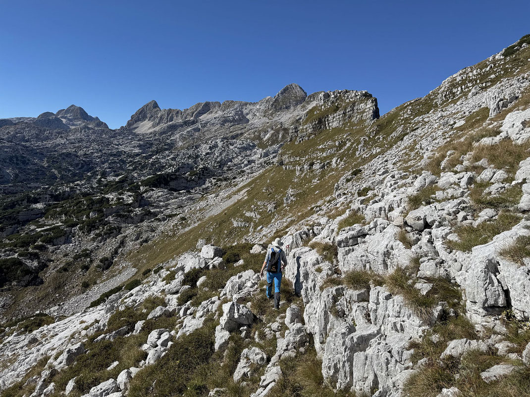 Weiterweg Richtung Vrh Ribežnov