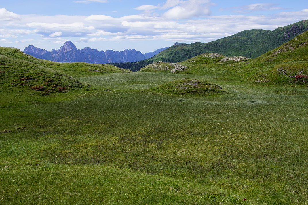 Am Grenzkamm