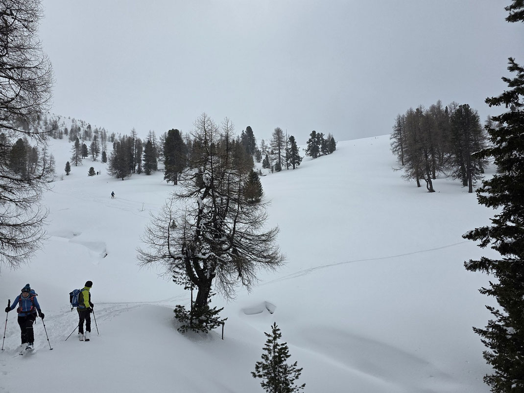 Abfahrt zum Almweg auf rund 1950m