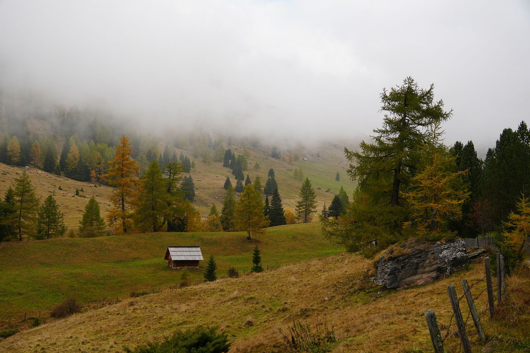 In der Faschaun