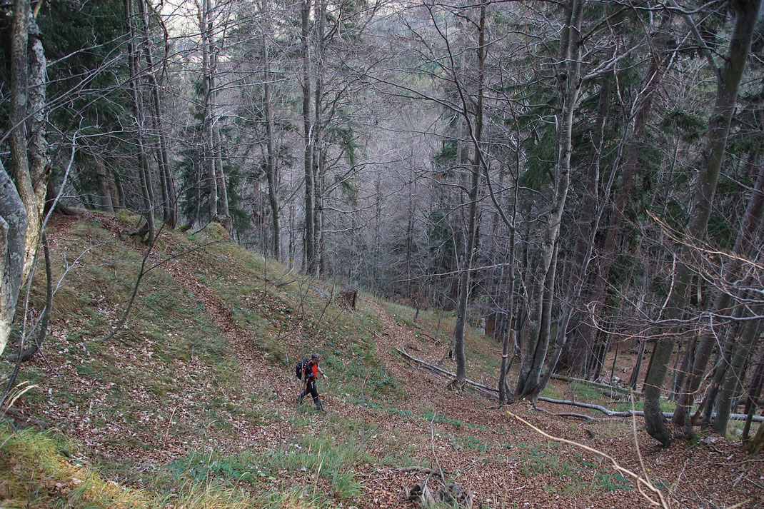 Der Auf- und Abstieg erfolgt über zahlreiche Sepentinen durch den Wald