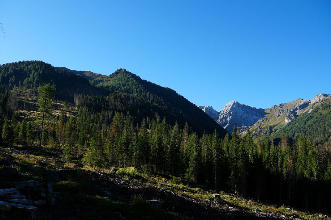 Knapp nach dem Abmarsch, links oben ist die Öfenspitze zu sehen