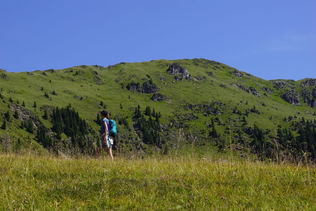 Aufstieg im Hintergrund die Gaugen