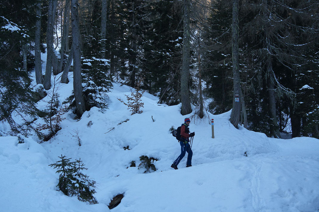 Abzweigung unter der Lussari Alm