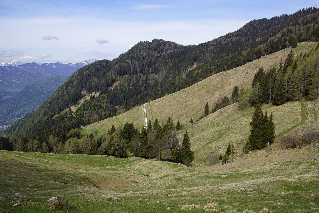 Beim Stall in 1400m Seehöhe, der Aufstieg erfolgt am grünen Weg rechts der Bildmitte