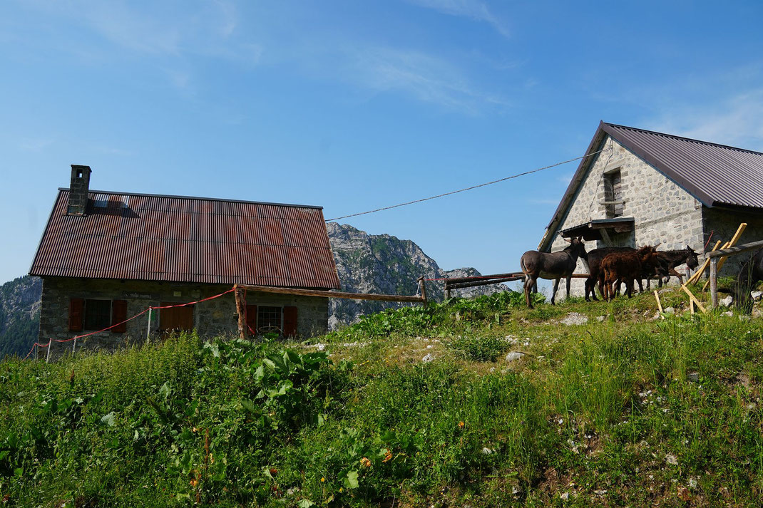 Auernig Alm