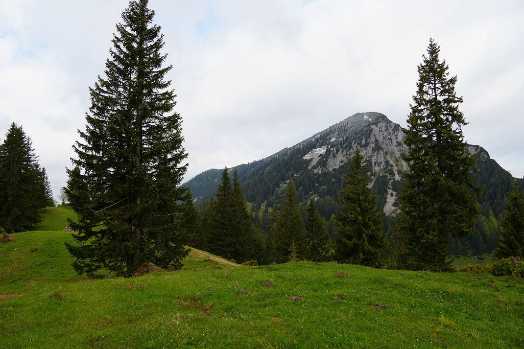 Die Halserspitze, aufgenommen knapp oberhalb der Gufferthütte