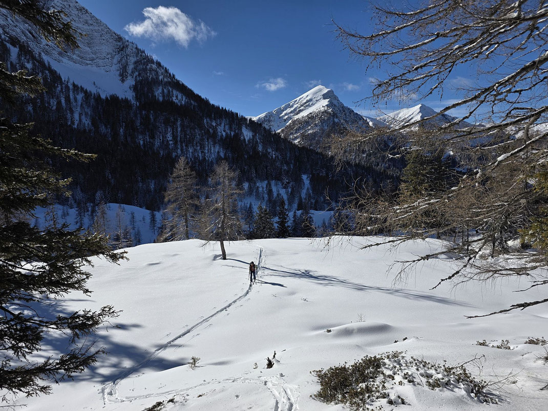Rückanstieg zur Kapelleralm