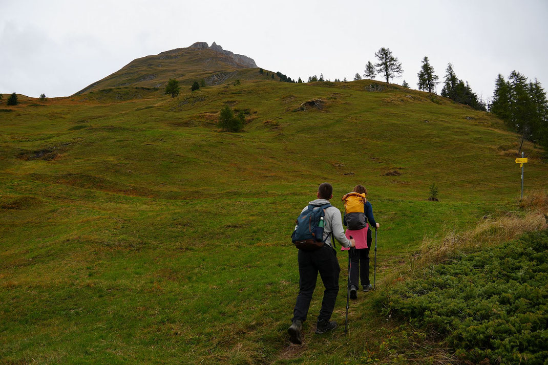 Am Weg zur Kehreralm