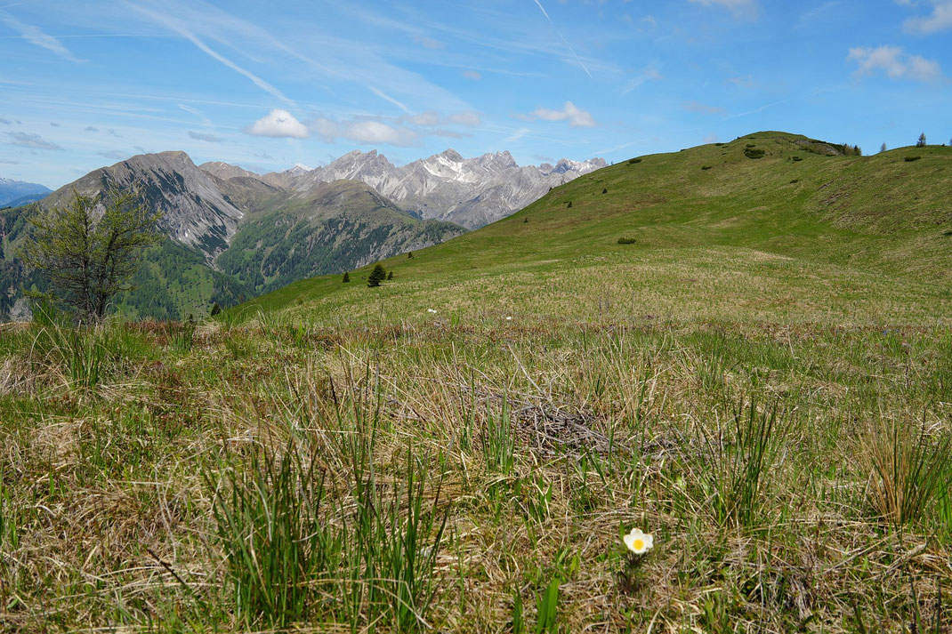 Mussenhöhe (rechts) mit dem Lumkofel (links) und daneben den Lienzer Dolomiten