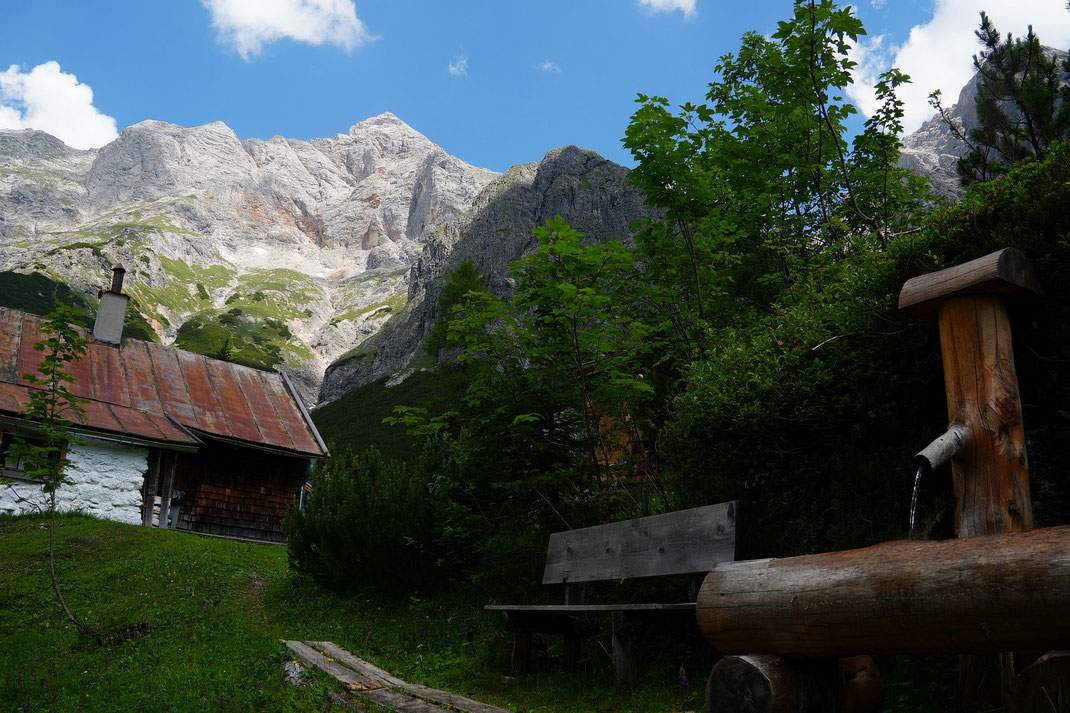 Bei der Freithofalm mit dem Blick zurück hinauf zur Schönfeldspitze
