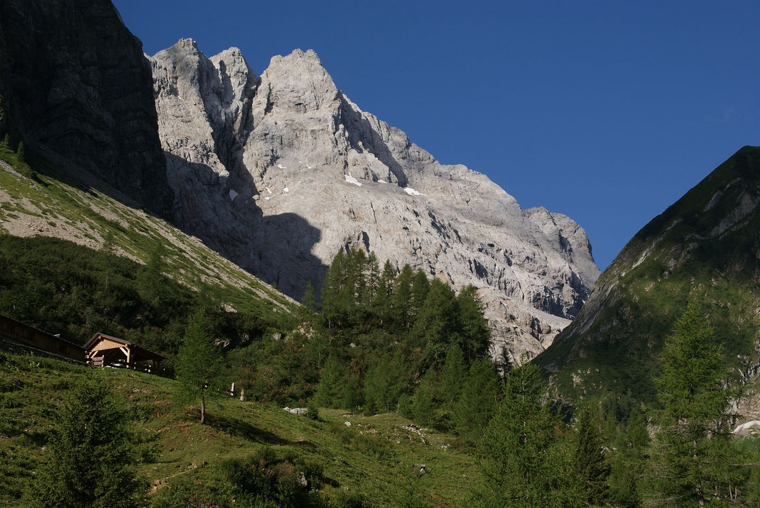 Obere Valentinalm mit Blick zur Hohen Warte