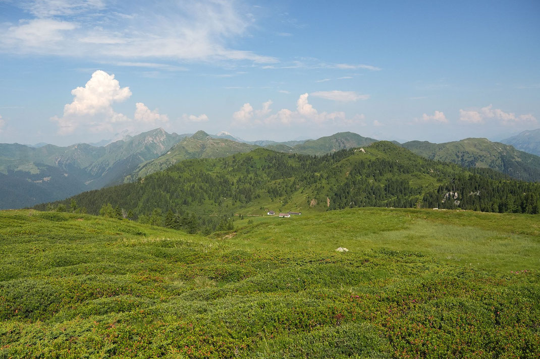 Herrliche Weiten mit Blick über die Groß Kordin Alm nach Westen; dieser Teil des Karnischen Höhenwegs ist wohl einer der schönsten