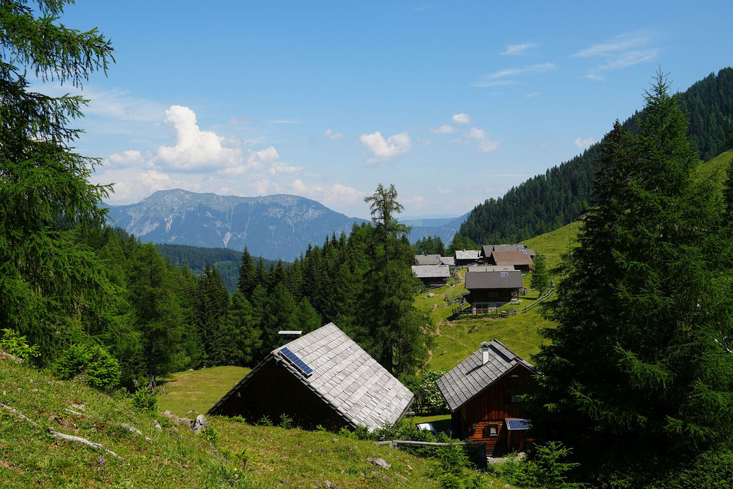 Dolinza Alm