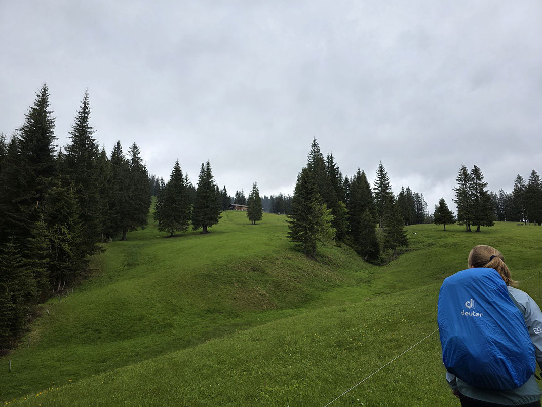Almwiesen