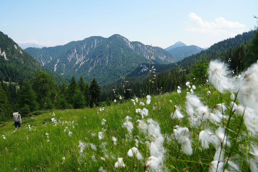 Am Weg von der Garnitzenalm Richtung Stutenbodensattel, das Tagesziel liegt hinter der Bildmitte