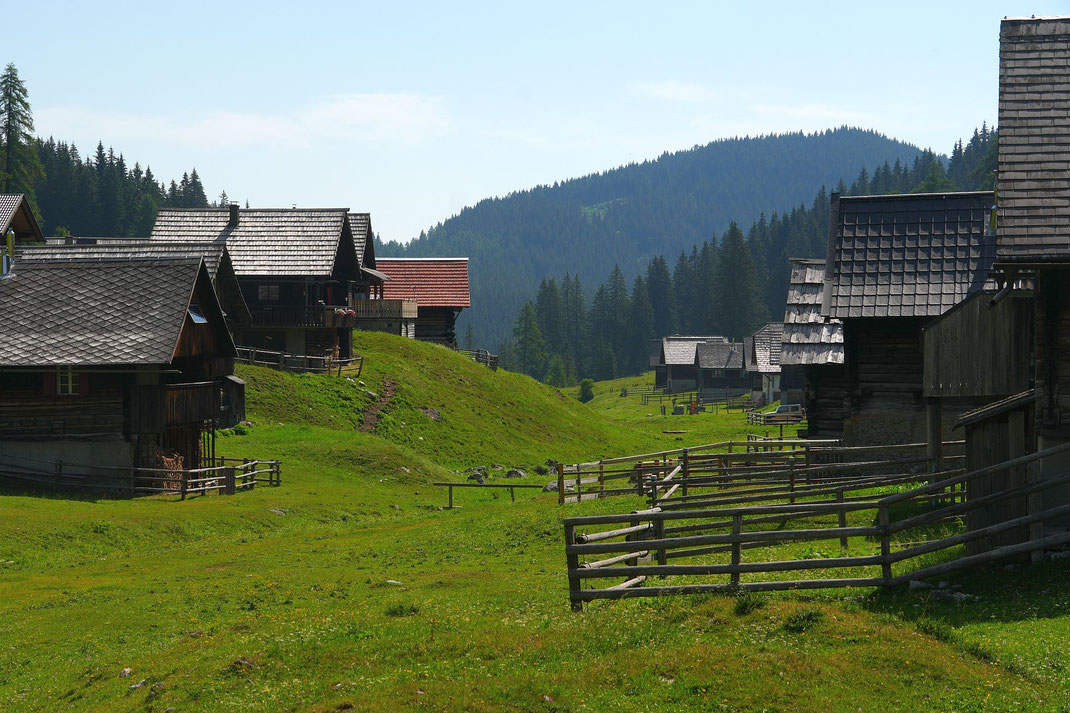 Dellacher Alm