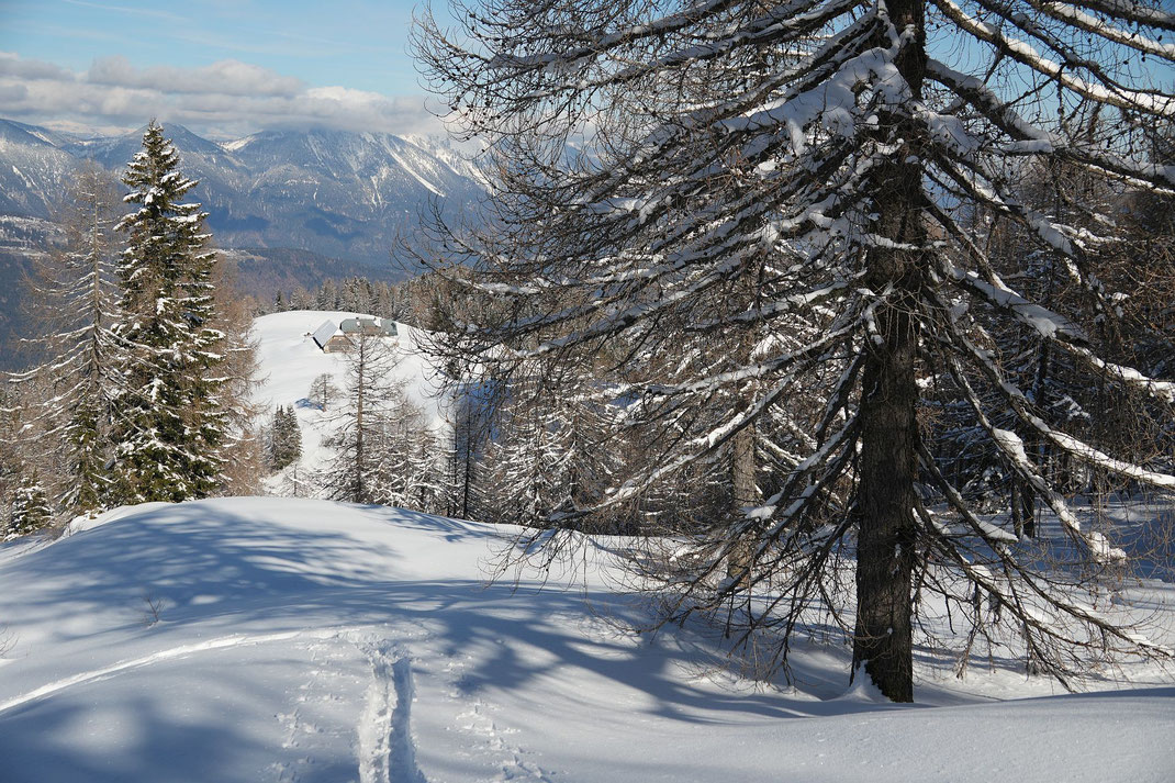 Blick hinab zur Tröpolacher Alm