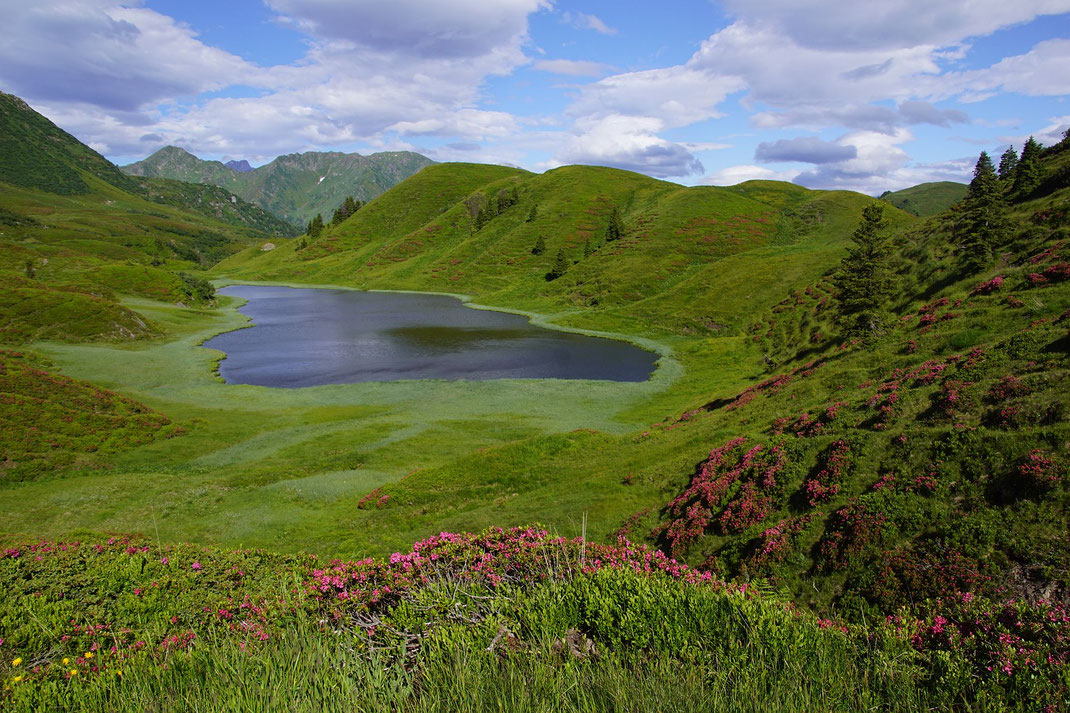Der idyllische Zollnersee