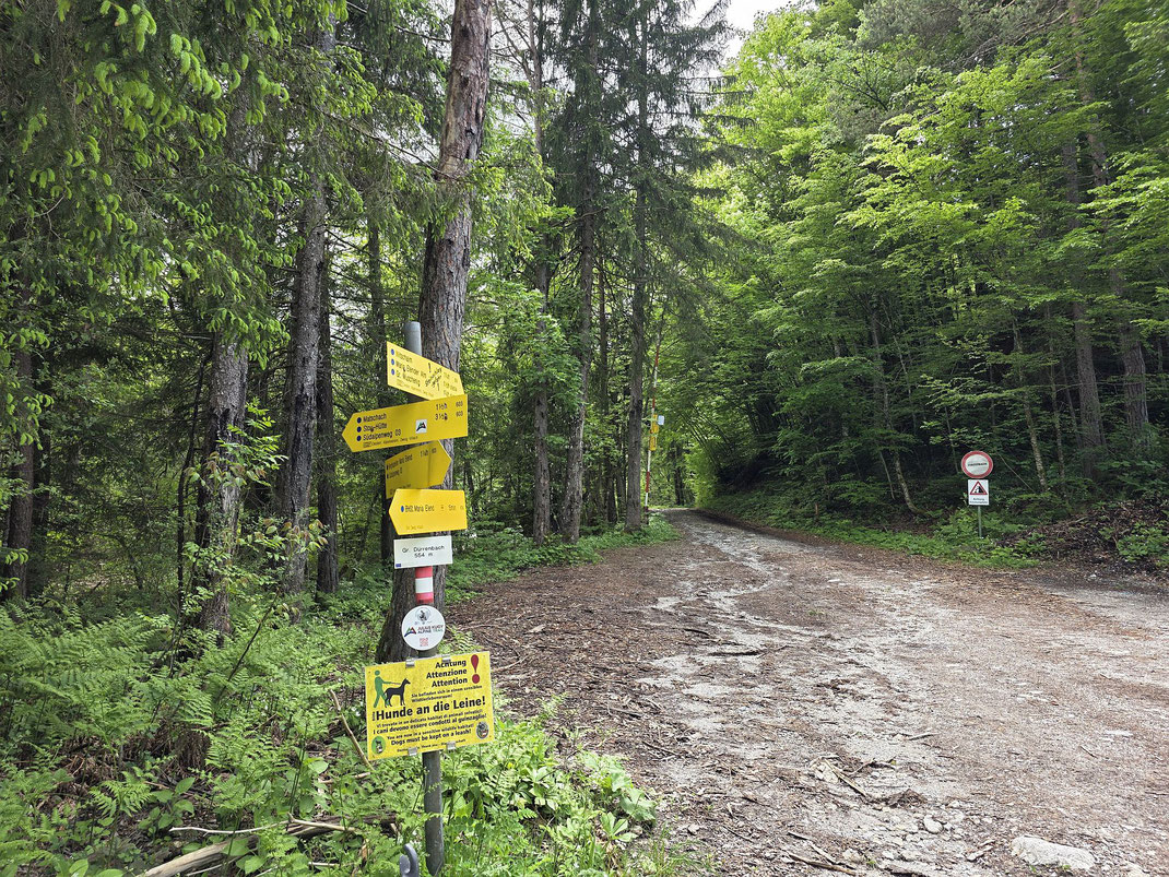 Eingang zum Suhagraben